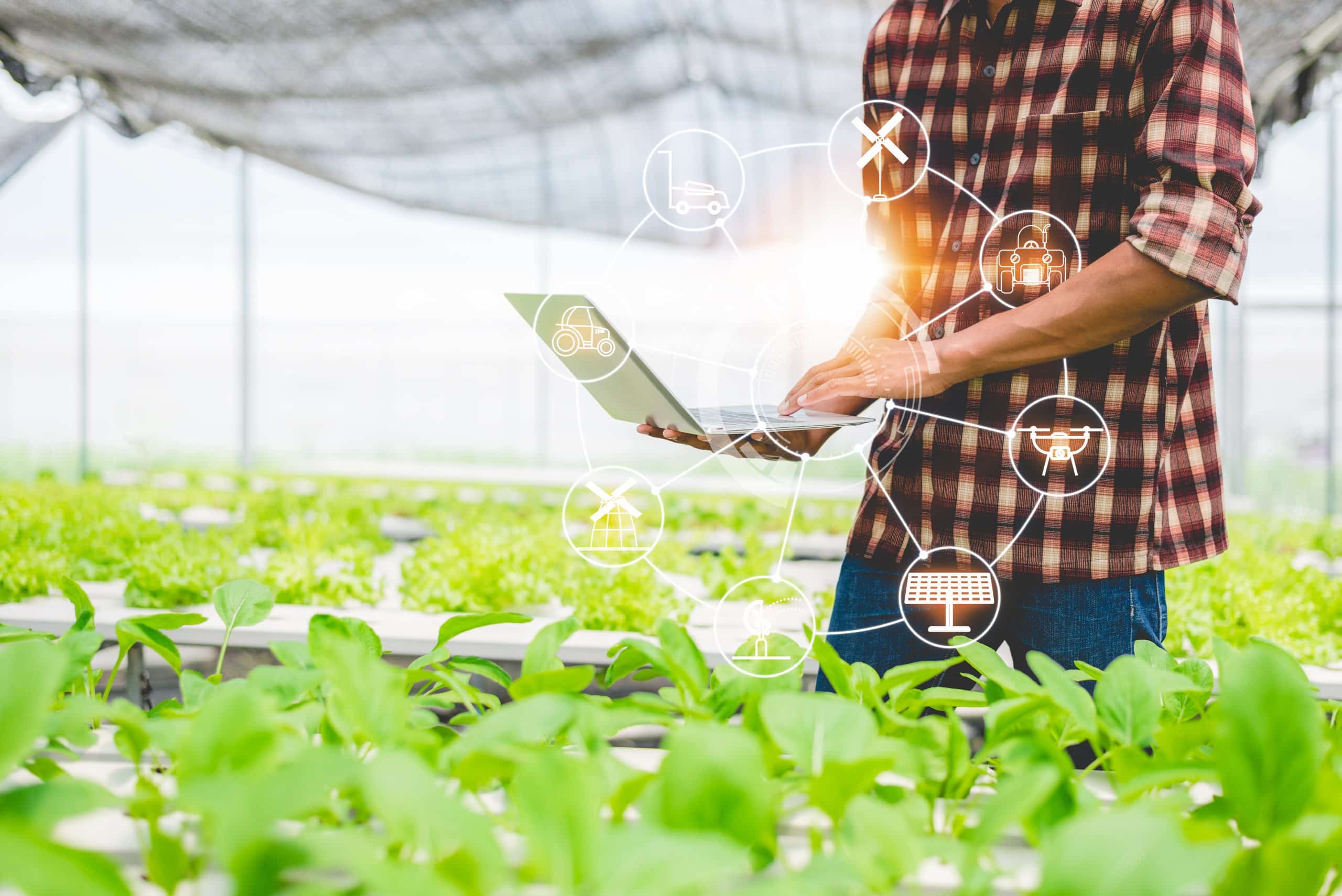 Concept of modern smart farming.